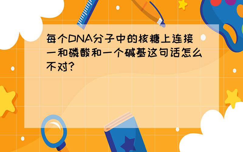 每个DNA分子中的核糖上连接一和磷酸和一个碱基这句话怎么不对?