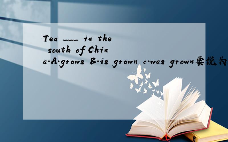 Tea ___ in the south of China.A.grows B.is grown c.was grown要说为什么哦！