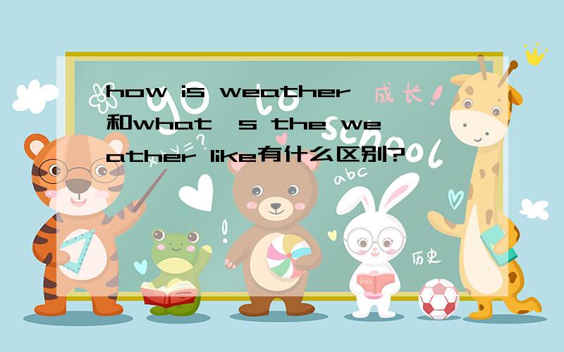 how is weather和what's the weather like有什么区别?
