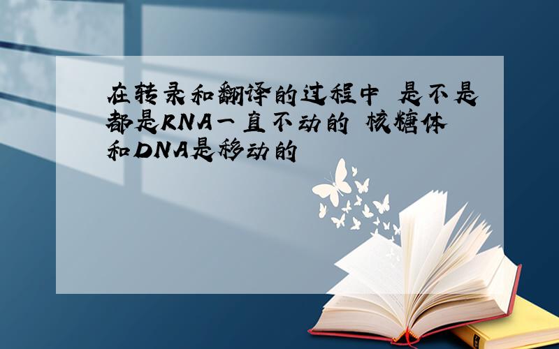 在转录和翻译的过程中 是不是都是RNA一直不动的 核糖体和DNA是移动的