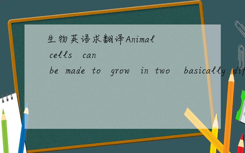 生物英语求翻译Animal  cells   can   be  made  to   grow   in  two    basically  different  modes   .most  animal  cells   be  induced  to  divide  if  they  are  first  allowed   to   attach  to   a   surface  or   solid  substratum  , while