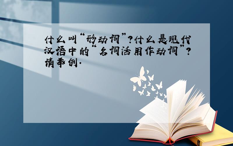 什么叫“形动词”?什么是现代汉语中的“名词活用作动词”?请举例.