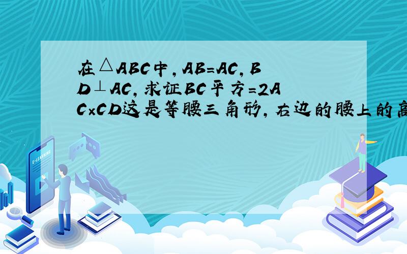 在△ABC中,AB=AC,BD⊥AC,求证BC平方=2AC×CD这是等腰三角形,右边的腰上的高BD