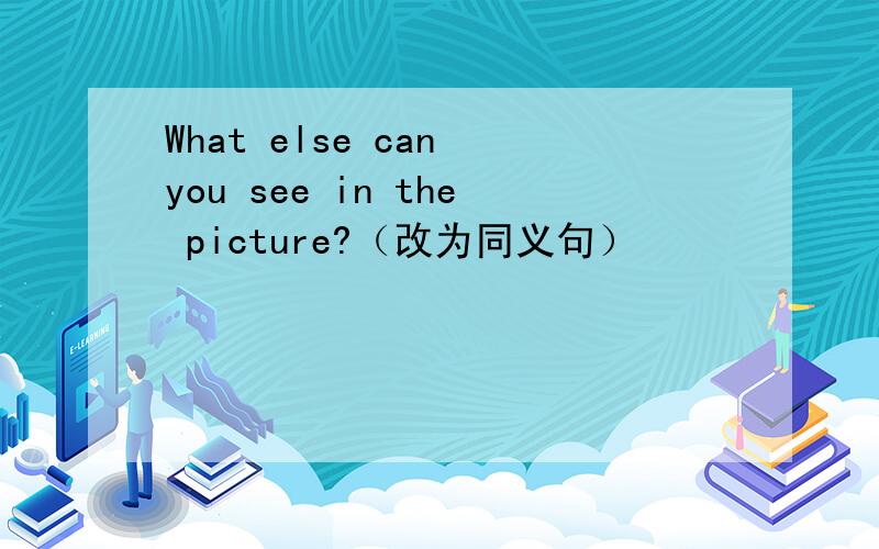 What else can you see in the picture?（改为同义句）