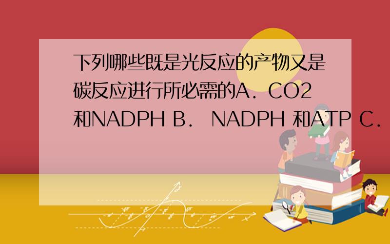 下列哪些既是光反应的产物又是碳反应进行所必需的A．CO2和NADPH B． NADPH 和ATP C．O2和NADPH D.ATP和O2