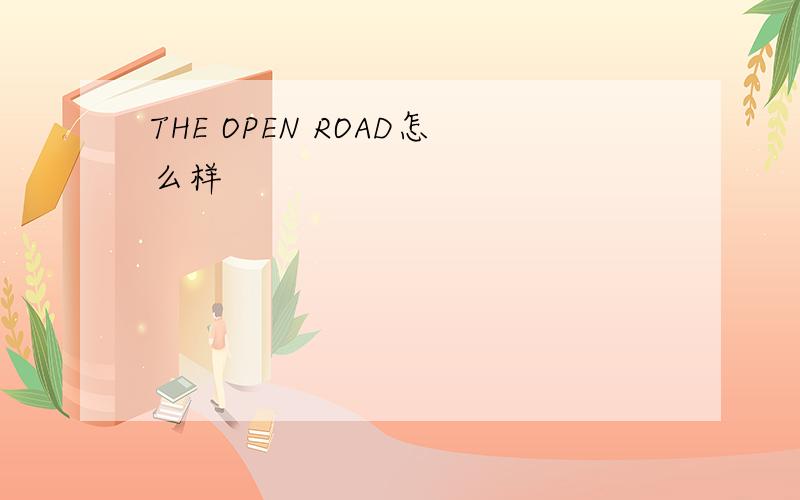 THE OPEN ROAD怎么样