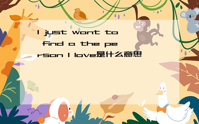 I just want to find a the person I love是什么意思