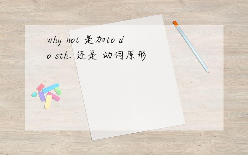 why not 是加to do sth. 还是 动词原形