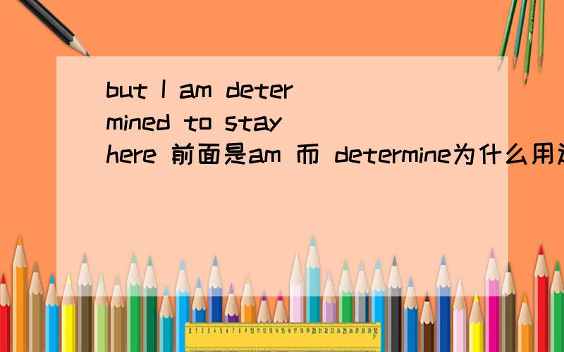 but I am determined to stay here 前面是am 而 determine为什么用过去时啊?