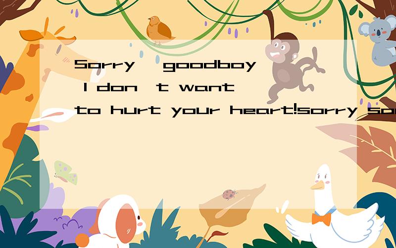 Sorry ,goodboy I don't want to hurt your heart!sorry sorry sorry sorry···I wish you happiness!Wish our friendship everlasting!