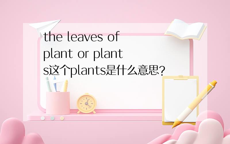 the leaves of plant or plants这个plants是什么意思?