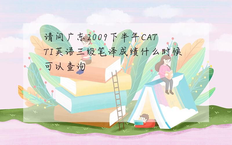 请问广东2009下半年CATTI英语三级笔译成绩什么时候可以查询