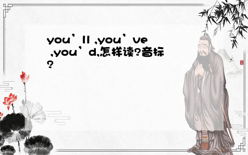 you’ll ,you’ve ,you’d,怎样读?音标?