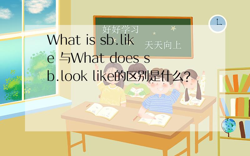 What is sb.like 与What does sb.look like的区别是什么?
