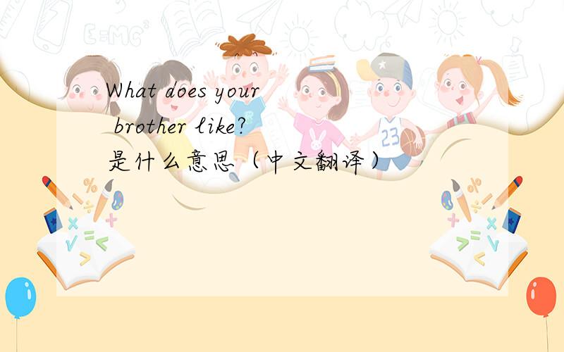 What does your brother like?是什么意思（中文翻译）