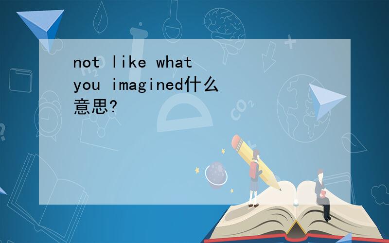 not like what you imagined什么意思?