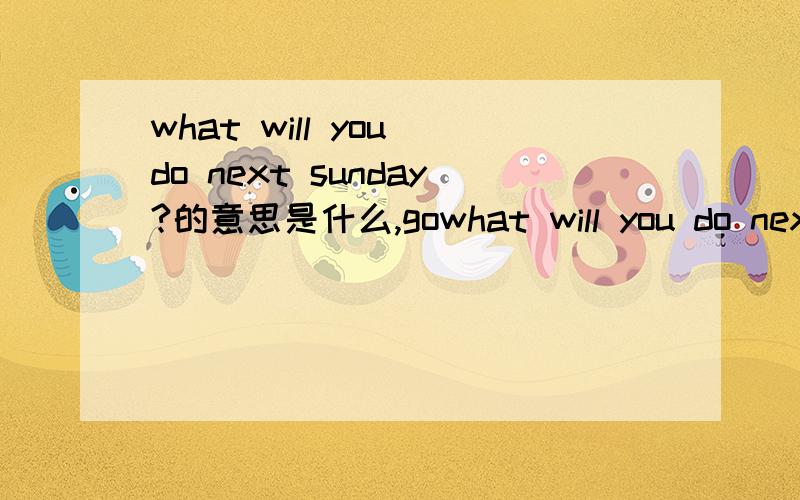 what will you do next sunday?的意思是什么,gowhat will you do next sunday?的意思是什么,go swimming的意思.in the park 的意思.