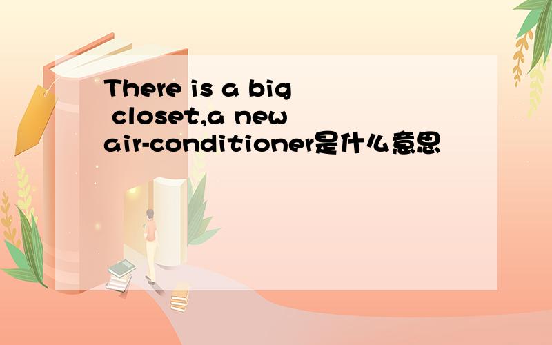 There is a big closet,a new air-conditioner是什么意思