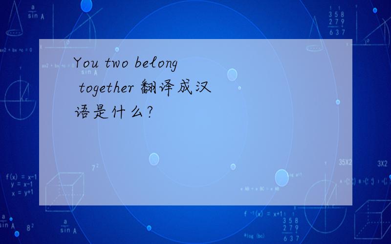 You two belong together 翻译成汉语是什么?
