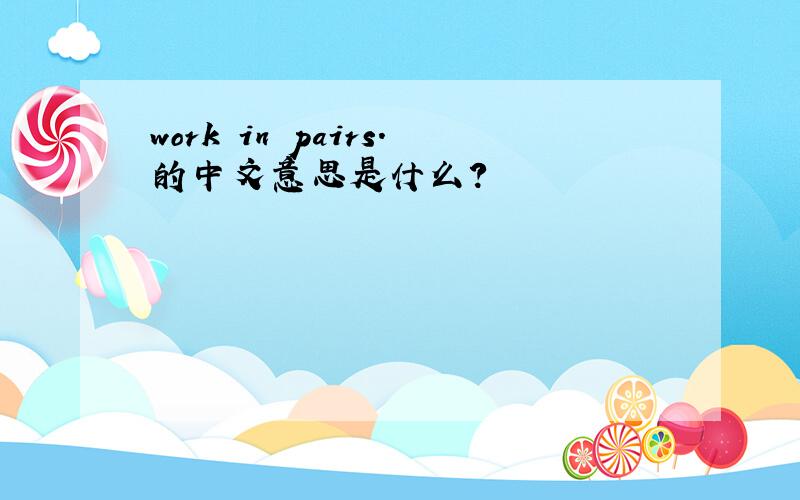 work in pairs.的中文意思是什么?