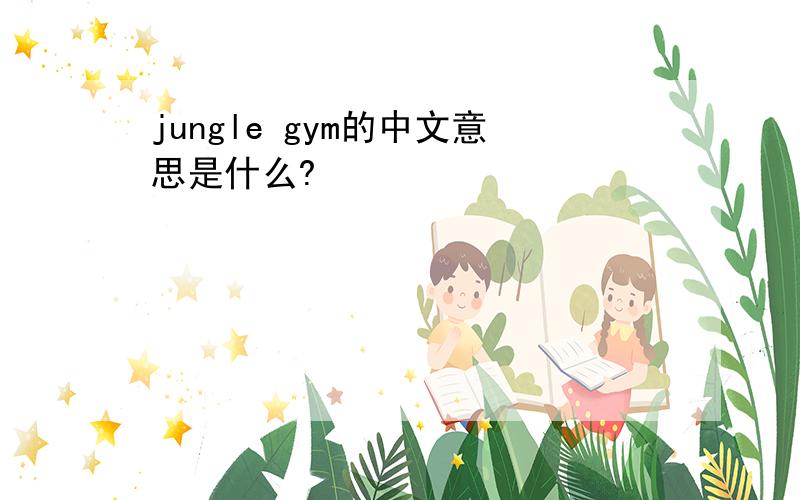 jungle gym的中文意思是什么?