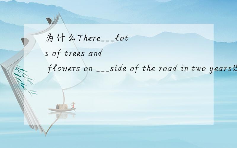 为什么There___lots of trees and flowers on ___side of the road in two years选D选项是A.will have,both B.will be,anyC.will be,either D.will have,each