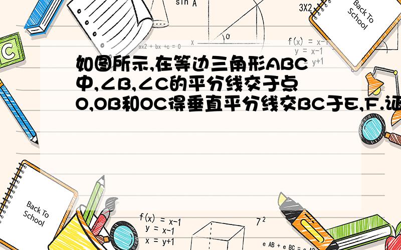 如图所示,在等边三角形ABC中,∠B,∠C的平分线交于点O,OB和OC得垂直平分线交BC于E,F.证明BE=EF=FC