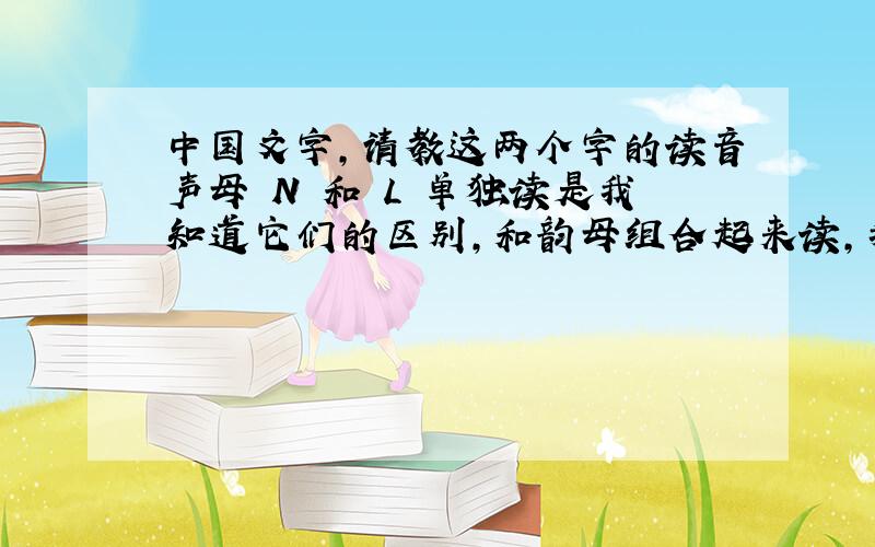 中国文字,请教这两个字的读音声母 N 和 L 单独读是我知道它们的区别,和韵母组合起来读,我也知道它们的区别,拼读时有区别.而它们最终读出来的字,我就有点疑问了,比如：“你”和 “李”