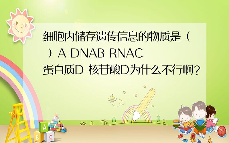 细胞内储存遗传信息的物质是（ ）A DNAB RNAC 蛋白质D 核苷酸D为什么不行啊？