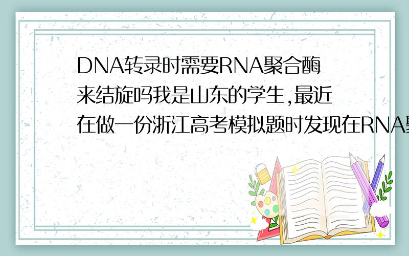 DNA转录时需要RNA聚合酶来结旋吗我是山东的学生,最近在做一份浙江高考模拟题时发现在RNA聚合酶作用下DNA螺旋解开,我们学的是在解旋酶作用下才解开,
