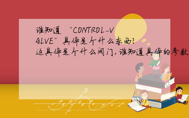谁知道 “CONTROL-VALVE”具体是个什么东西?这具体是个什么阀门,谁知道具体的参数?