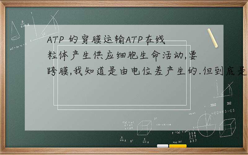 ATP 的穿膜运输ATP在线粒体产生供应细胞生命活动,要跨膜,我知道是由电位差产生的.但到底是ATP在线粒体基质中形成还是在内膜与外膜之间产生的呢?人还可以通过口服ATP治疗一些疾病,那么,其