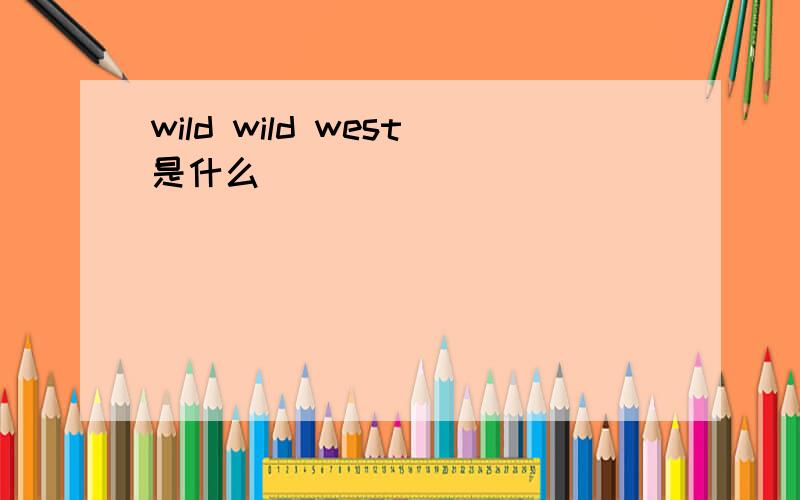 wild wild west是什么