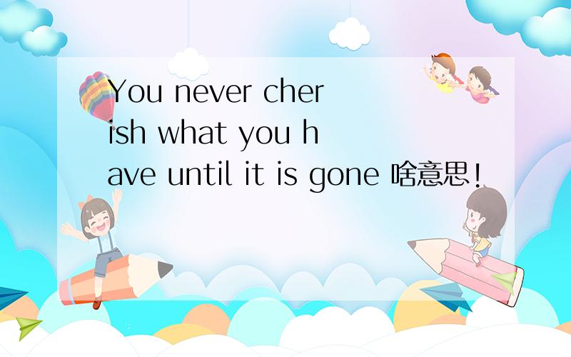 You never cherish what you have until it is gone 啥意思!