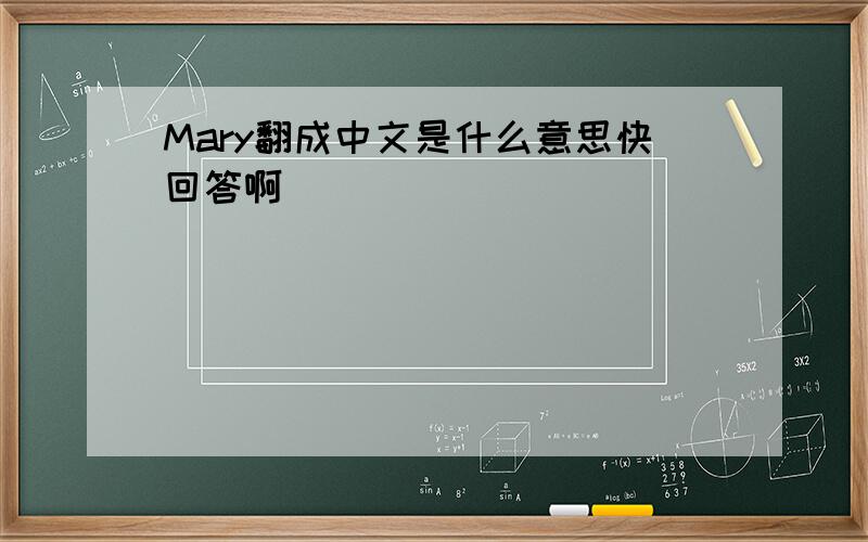Mary翻成中文是什么意思快回答啊