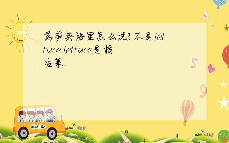 莴笋英语里怎么说?不是lettuce.lettuce是指生菜.