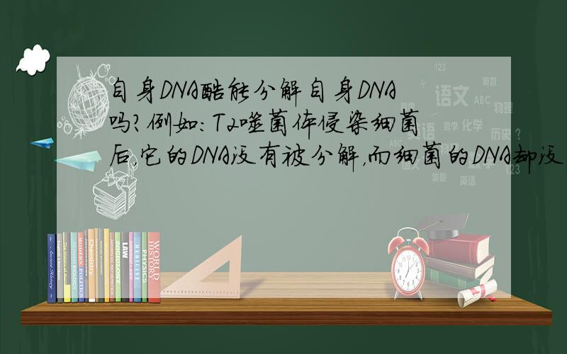 自身DNA酶能分解自身DNA吗?例如：T2噬菌体侵染细菌后，它的DNA没有被分解，而细菌的DNA却没了。