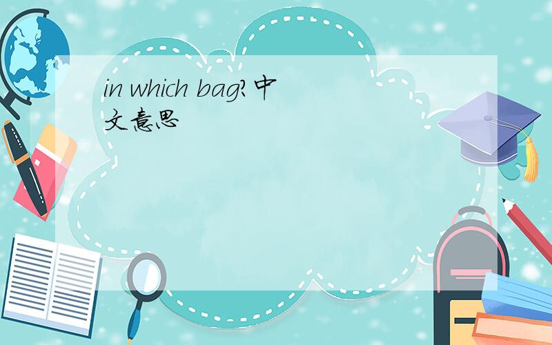 in which bag?中文意思