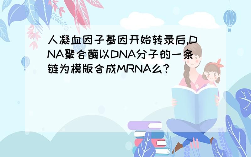 人凝血因子基因开始转录后,DNA聚合酶以DNA分子的一条链为模版合成MRNA么?