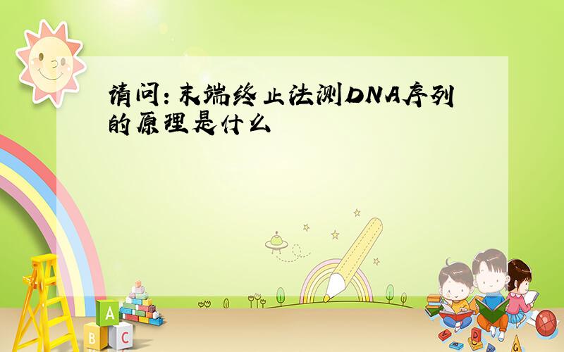 请问：末端终止法测DNA序列的原理是什么