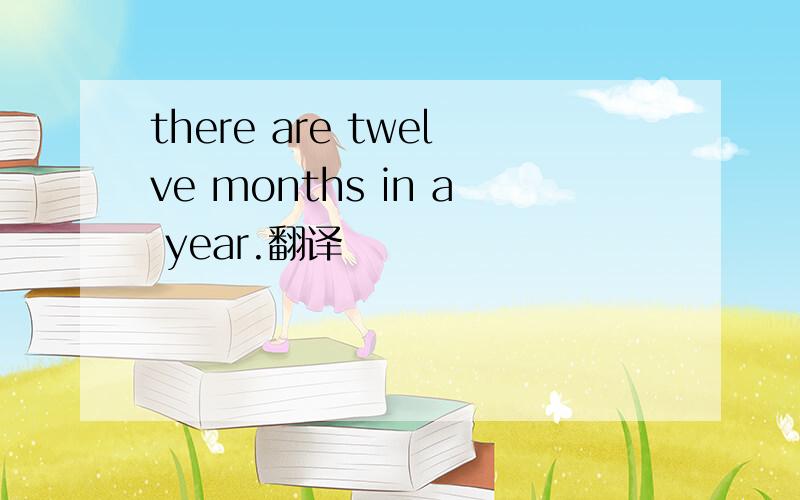 there are twelve months in a year.翻译
