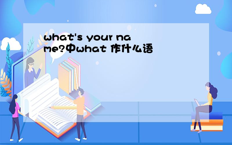 what's your name?中what 作什么语