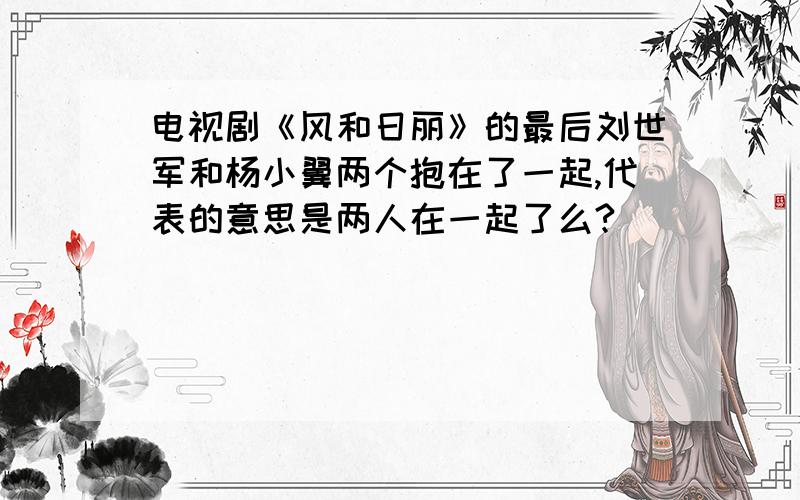 电视剧《风和日丽》的最后刘世军和杨小翼两个抱在了一起,代表的意思是两人在一起了么?