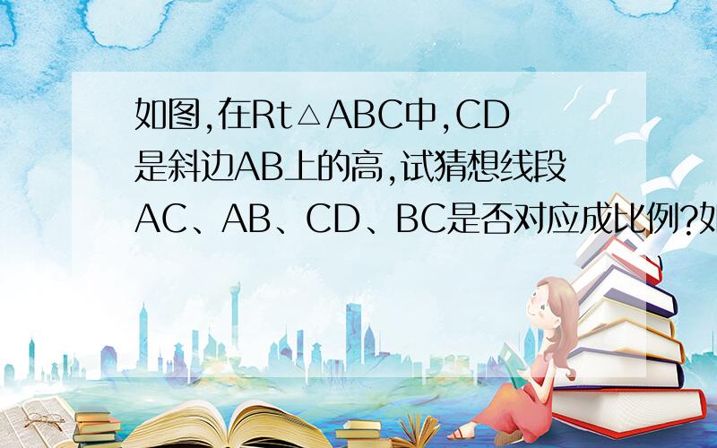 如图,在Rt△ABC中,CD是斜边AB上的高,试猜想线段AC、AB、CD、BC是否对应成比例?如果成比例,写出这个比例式,并验证,如不能,说明理由.
