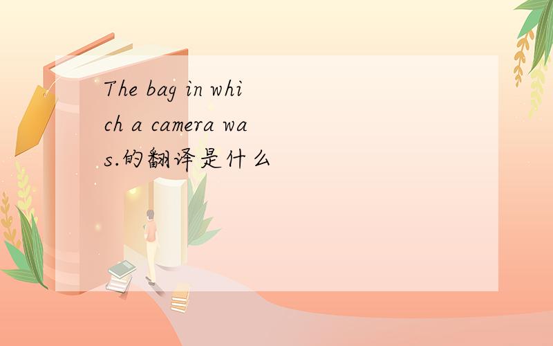 The bag in which a camera was.的翻译是什么