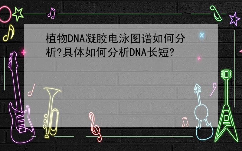 植物DNA凝胶电泳图谱如何分析?具体如何分析DNA长短?
