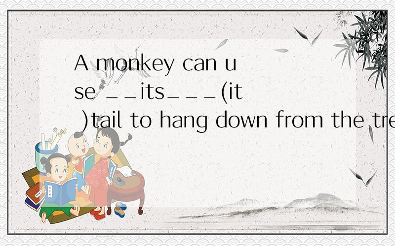 A monkey can use __its___(it )tail to hang down from the tree.为什么用its