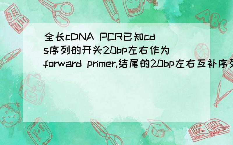 全长cDNA PCR已知cds序列的开头20bp左右作为forward primer,结尾的20bp左右互补序列作为reverse primer,Tm值相差不超过5度.用total RNA 的 T7 RT cDNA作为模版,准备扩增全长cDNA序列,但是总是p不出产物来,是什