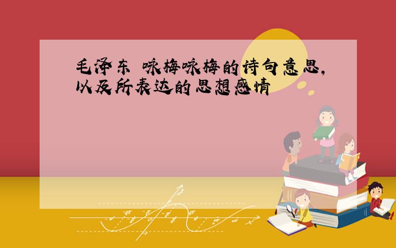毛泽东 咏梅咏梅的诗句意思,以及所表达的思想感情