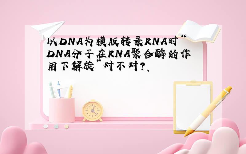 以DNA为模版转录RNA时“DNA分子在RNA聚合酶的作用下解旋”对不对?、